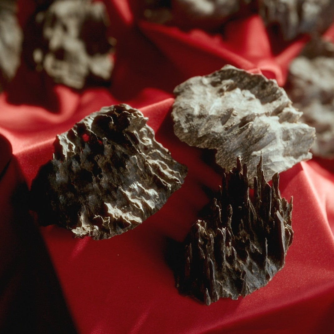 جار الموسمي